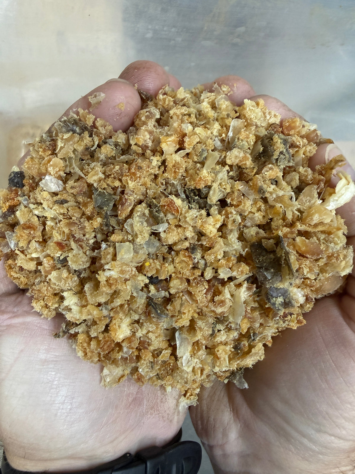 Preserved Ground Fish — Furbearer Trapping Bait & Fishing Chum