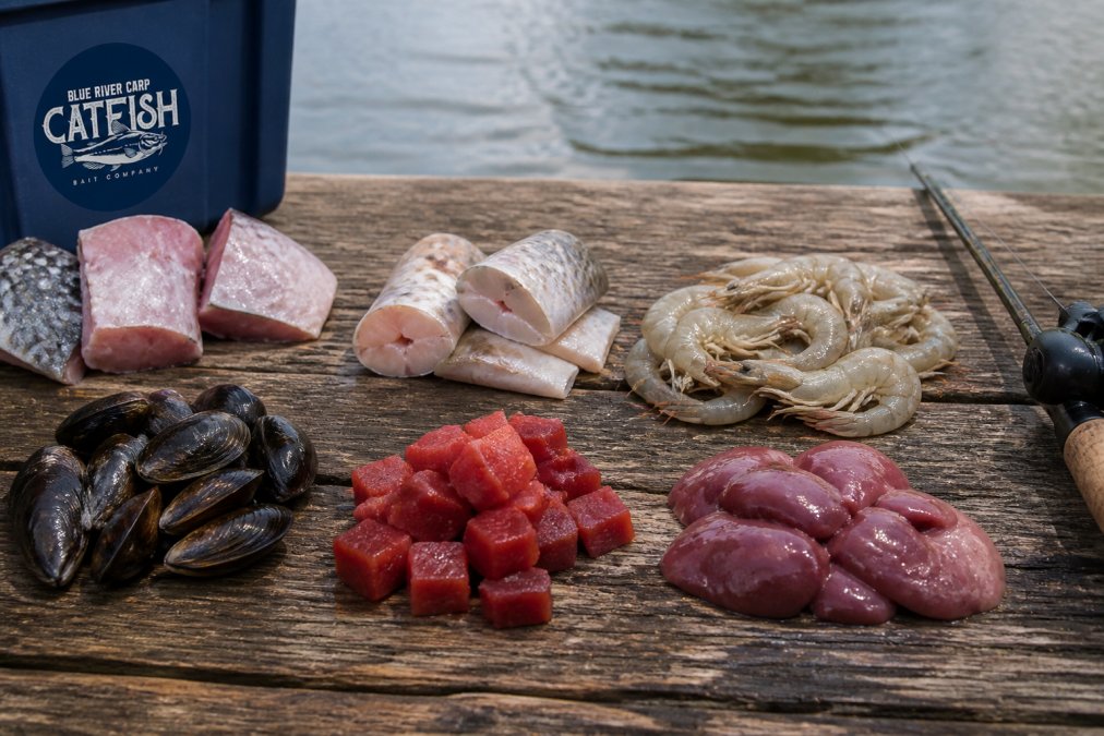 6 Best Catfish Baits for Deep Water Fishing in 2026
