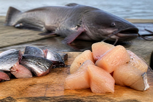 Best Bait for Large Catfish: Trophy-Size Choices