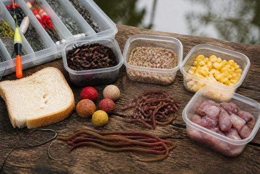 Best Bait for Spontaneous Fishing: 7 Ready-to-Go Options
