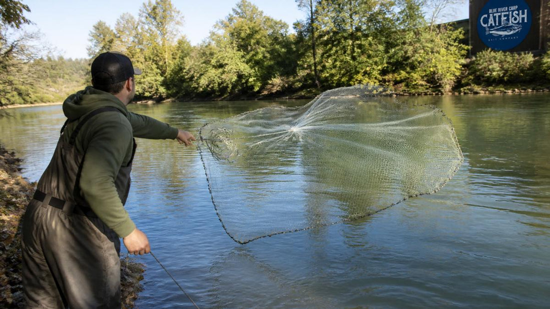 How to Use a Cast Net for Shad: Complete Guide