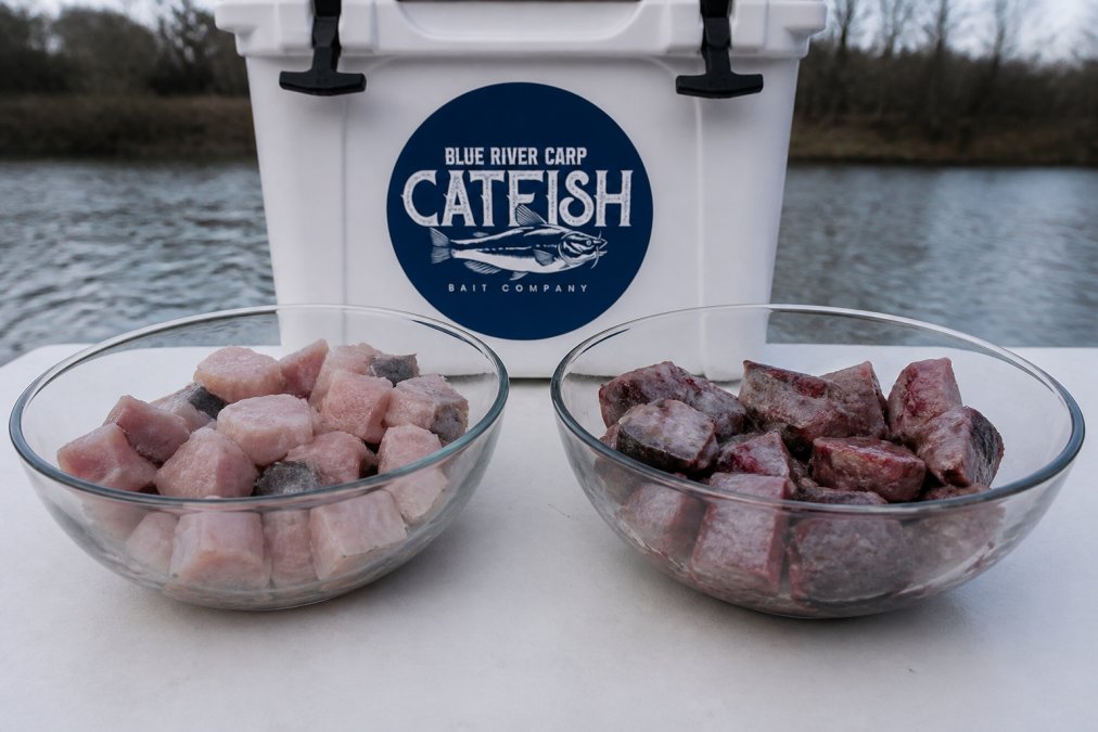 Prepared Cut Bait vs Fresh Cut Bait: Which Wins?