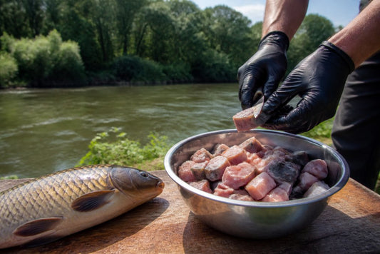Sustainable Bait for River Anglers: A 2026 Guide