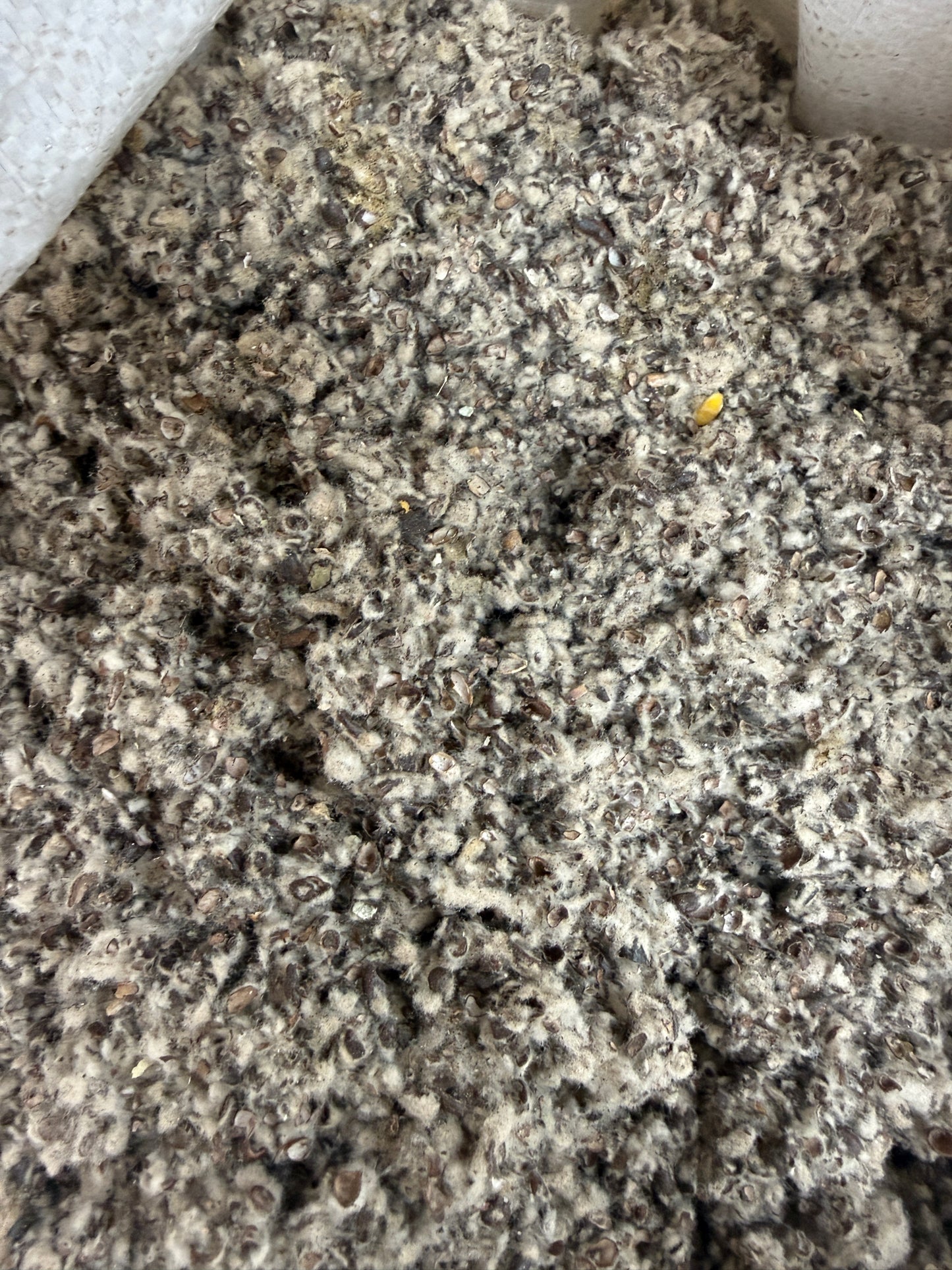 Cottonseed Hull / Meal - 1.5 lbs