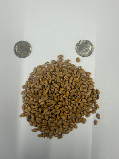 Wheat Hulls - 2.2lbs or 1kg