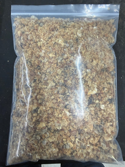 Preserved Ground Fish (Several Sizes) - 2.2Lbs