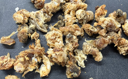 Preserved Ground Fish (Several Sizes) - 2.2Lbs
